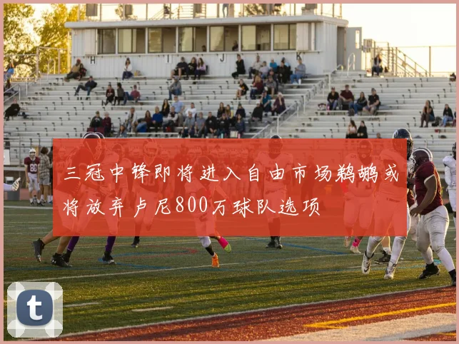 三冠中锋即将进入自由市场鹈鹕或将放弃卢尼800万球队选项