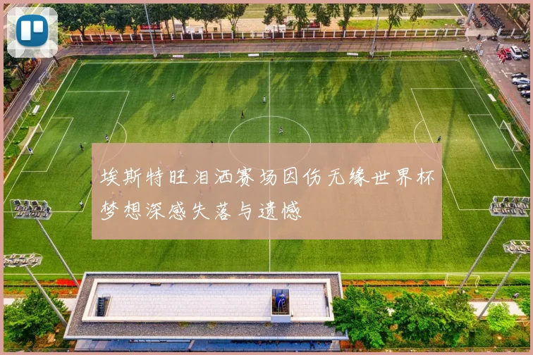埃斯特旺泪洒赛场因伤无缘世界杯梦想深感失落与遗憾