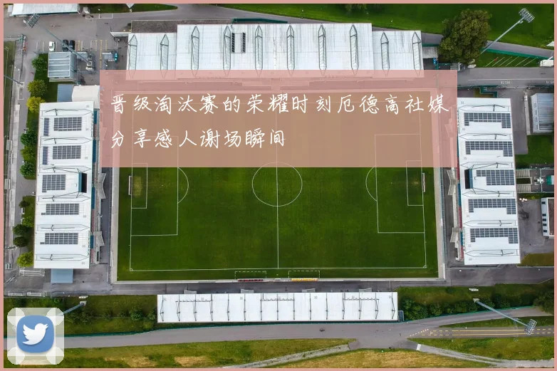 晋级淘汰赛的荣耀时刻厄德高社媒分享感人谢场瞬间